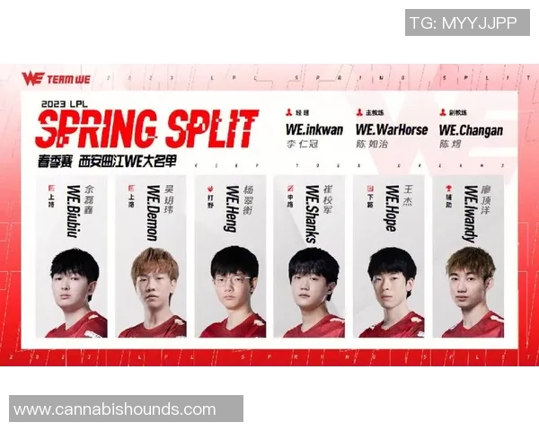 WE战队在CSGO比赛中的盯防策略分析与成败得失探讨 WE战队在CSGO比赛中的盯防策略分析与成败得失探讨