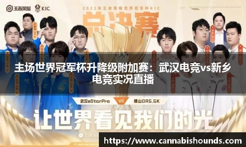 主场世界冠军杯升降级附加赛：武汉电竞vs新乡电竞实况直播