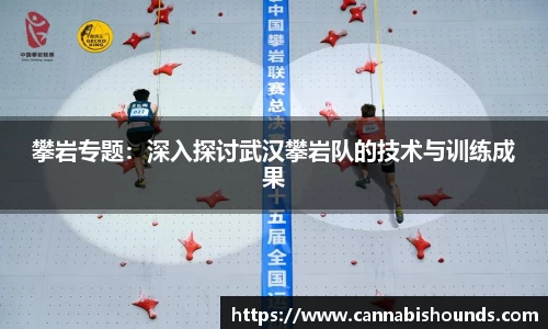 攀岩专题：深入探讨武汉攀岩队的技术与训练成果