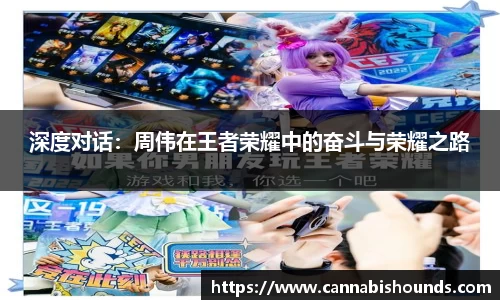 深度对话：周伟在王者荣耀中的奋斗与荣耀之路