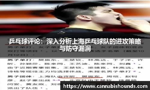 乒乓球评论：深入分析上海乒乓球队的进攻策略与防守漏洞