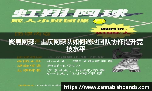 聚焦网球：重庆网球队如何通过团队协作提升竞技水平