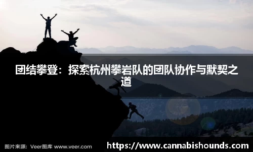 团结攀登：探索杭州攀岩队的团队协作与默契之道