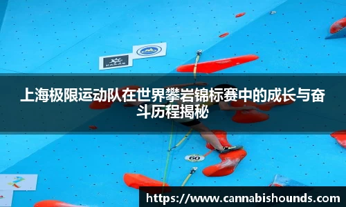 上海极限运动队在世界攀岩锦标赛中的成长与奋斗历程揭秘