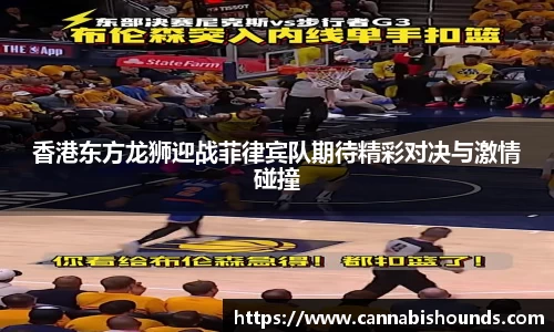 yy易游体育